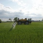 Challenger RoGator spraying spring barley  -  latest nozzle technologies used for precise application