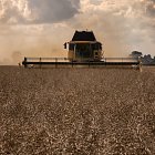 One of our two New Holland CR9090 Combines, with 35ft header