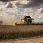 Two New Holland CR9090's harvesting Oil Seed Rape