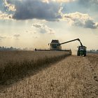 New Holland CR9090 New Holland combine unloading Oil Seed Rape into a grain trailer