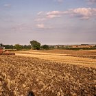 Simba SL Cultivating wheat stubbles