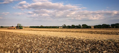 Soil Health & Biology