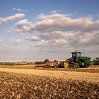Cultivating wheat stubbles