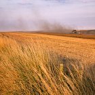 Two CR9090 combines working their way across and Oil Seed Rape field