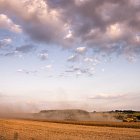 Dust flying - a good sign when harvesting in the Scottish Borders