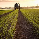 Jorin spraying winter wheat with Challenger Rogator