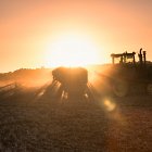 Horsch drill working into the evening